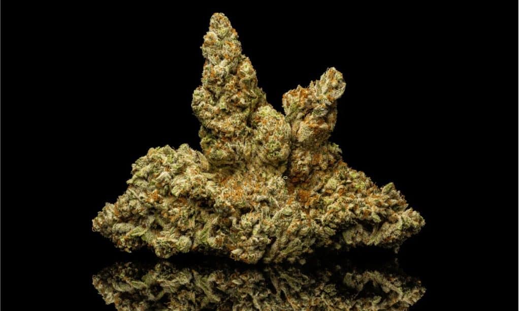 Where to Buy ky jealousy strain Online Safely and Discreetly
