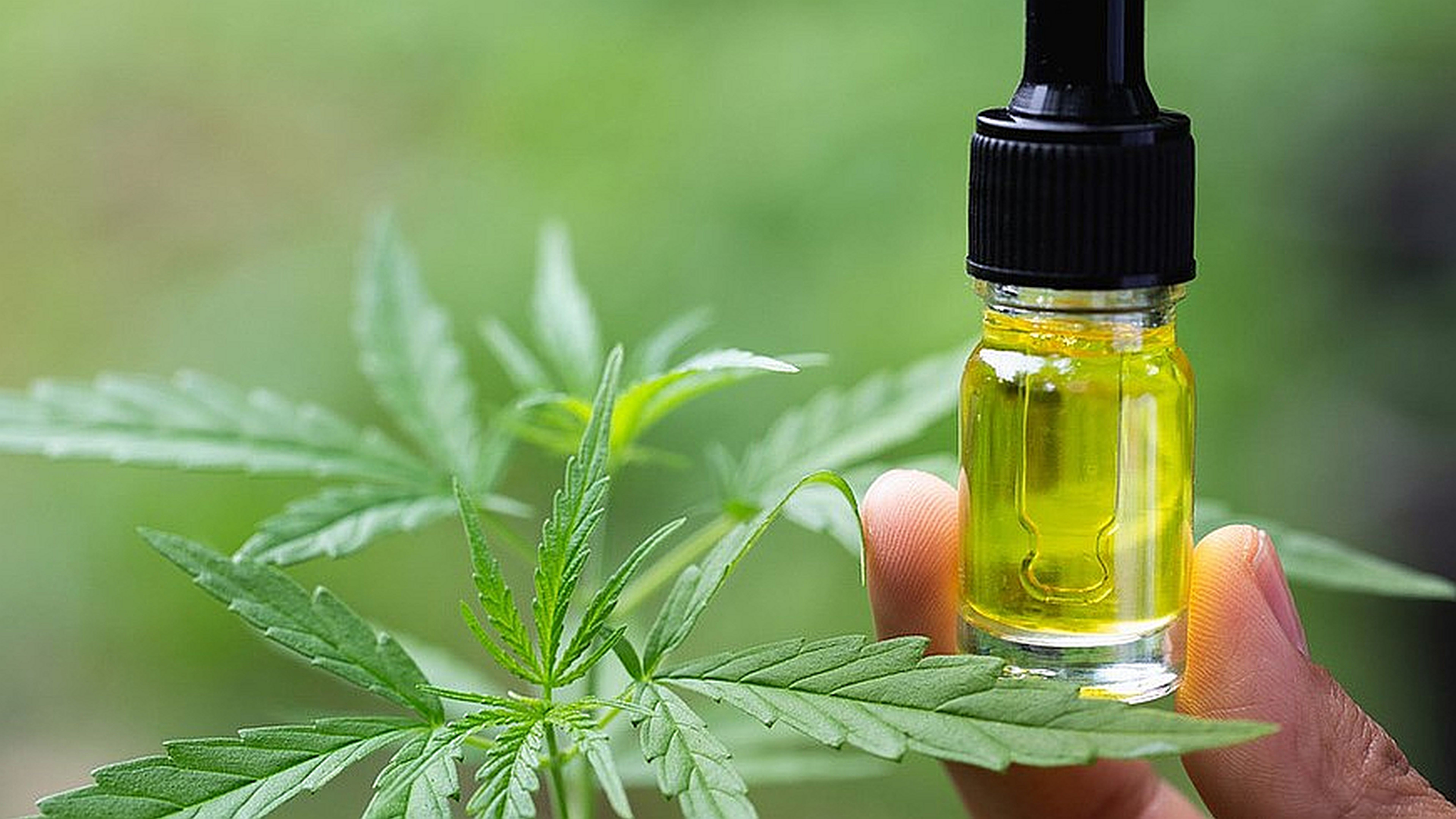 Revoluciona tu rutina facial con cosmética con CBD: comprar CBD online nunca fue tan fácil