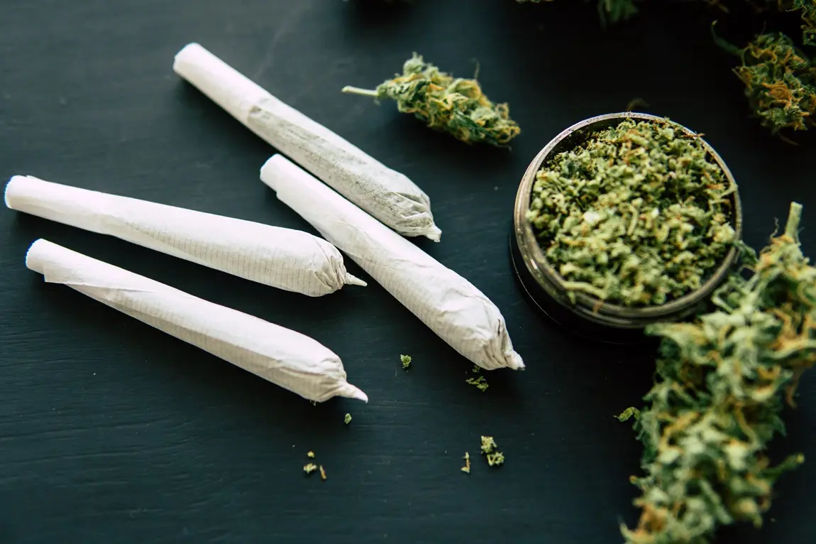 Prerolled joints online Germany – Ready-to-Smoke Premium Cannabis Pre-Rolls